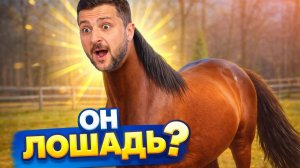 Вот оно что.