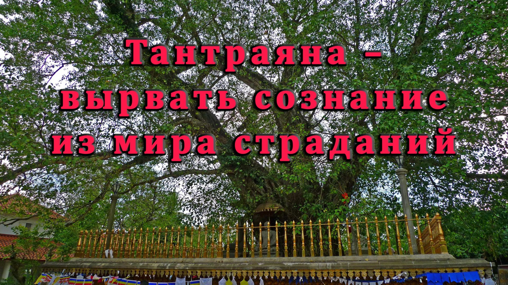 Тантраяна – вырвать сознание из мира страданий смотреть онлайн