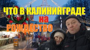 Калининградские новогодние каникулы.От острова Канта до Чебурашки в Светлогорске.Морозы крепчают.