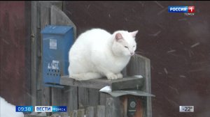 Вести-Томск, выпуск от 12.01.2026 09:30