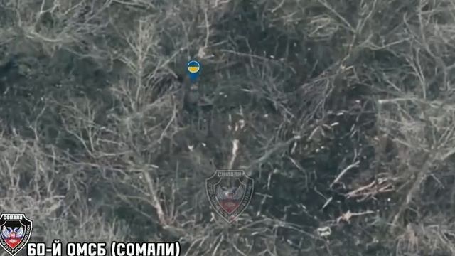 🔴Подарочек под ёлочку.🎄🎁🎄🔴 смотреть онлайн