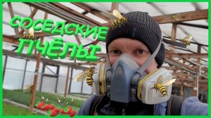 ИСТОРИЯ ПРО СОСЕДСКИХ ПЧЕЛ | ДОМ В ДЕРЕВНЕ | ЗАИМКА НА УРАЛЕ | ХУТОР | ХОТИМ КАК ОНИ