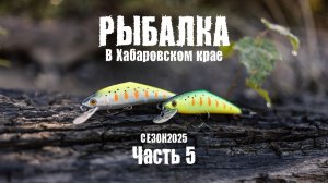 Ловля ленка и тайменя на Дальнем Востоке. Рыболовные путешествия команды SMITH Russia. Часть 5