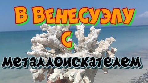 В ВЕНЕСУЭЛУ С МЕТАЛЛОИСКАТЕЛЕМ! смотреть онлайн