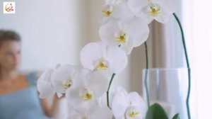 A LA CARTE DA NANG BEACH 4* | 316000.ru - лучшие цены на Ваши путешествия!