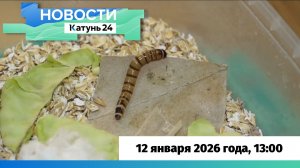 Новости Алтайского края 12 января 2026 года, выпуск в 13:00