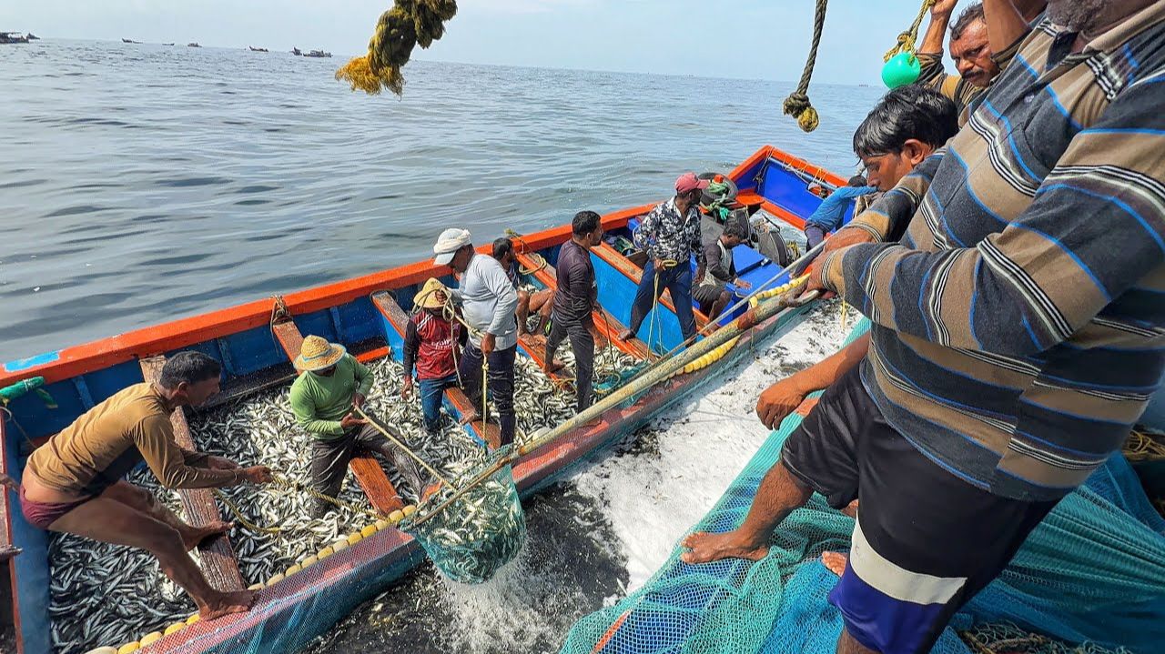 Более 10 тонн скумбрии выловлено в открытом море 🌊🐟 | Нерезанная сеть для ловли рыбы смотреть онлайн