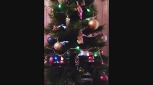 Бродит тишина.