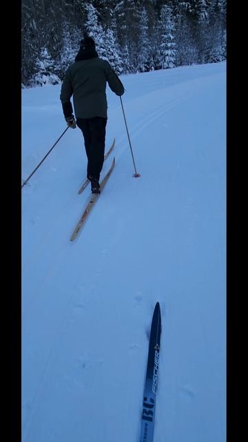 Провожает 2025г.