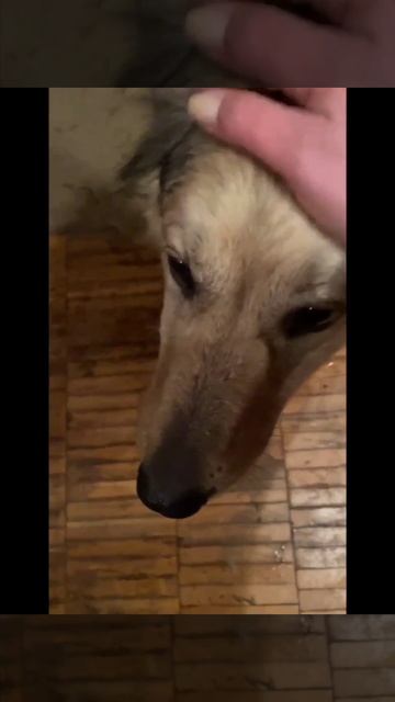 НАШИ ВЫПУСКНИКИ. ДОМ МИЛЫЙ ДОМ 