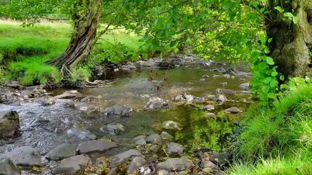 РАССЛАБЛЯЮЩИЕ ЗВУКИ ДЛЯ ДУШИ: ТЁПЛАЯ МУЗЫКА ДЛЯ СПОКОЙНОГО СНА смотреть онлайн