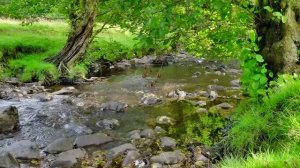 РАССЛАБЛЯЮЩИЕ ЗВУКИ ДЛЯ ДУШИ: ТЁПЛАЯ МУЗЫКА ДЛЯ СПОКОЙНОГО СНА