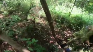 Разведывательно-поисковые действия на африканском направлении