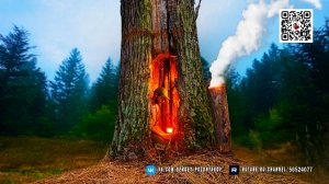 Секретное тёплое убежище внутри гигантского дуба - Глиняная печь и уют в лесу 🌲🔥