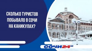 Сколько туристов побывало в Сочи на каникулах?