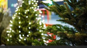 В Госдуме рассказали о следующих 12-дневных новогодних каникулах в 2032 году