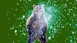 А теперь в берлогу_encoded