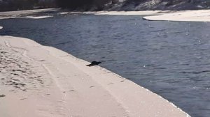 Зимние каникулы. Рыбачим на реке.