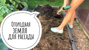 Не используйте землю из грядок для рассады, пока не узнаете это