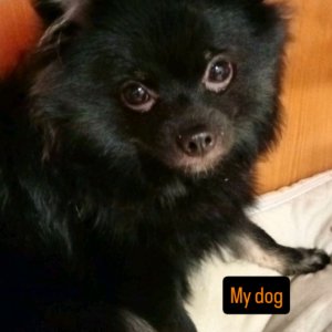 НОЧНОЙ СТРИМ 2