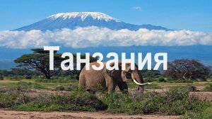 Танзания 4K - живописный фильм о дикой природе под африканской музыкой