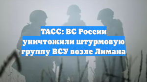 ТАСС: ВС России уничтожили штурмовую группу ВСУ возле Лимана