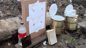 black strike p08 5.5 подбор пуль на 55 метров