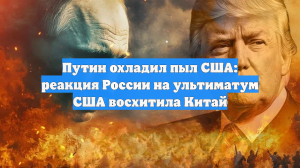 NetEase: Китай восхитила реакция Путина на ультиматум со стороны США