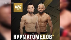 Умар Нурмагомедов примет участие в номерном турнире UFC-324