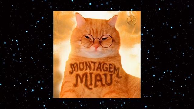 фонк MONTAGEM MIAU смотреть онлайн