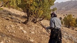 Кочевая жизнь/Иран/ 128 часть