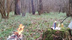 Мощная чистка от кладбищенской порчи, нечисти, без возврата обновления. Защита.