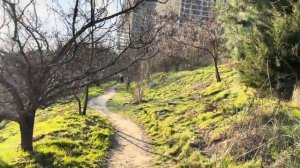 ОДЕССА 12 ЯНВАРЯ 2026. У КАДЫРОВА ОТКАЗАЛИ ПОЧКИ! ОТМЕНИЛИ