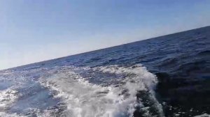 Возвращаемся