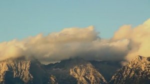 "Птица память" или "Пёрышко" - Анастасия Добровольская