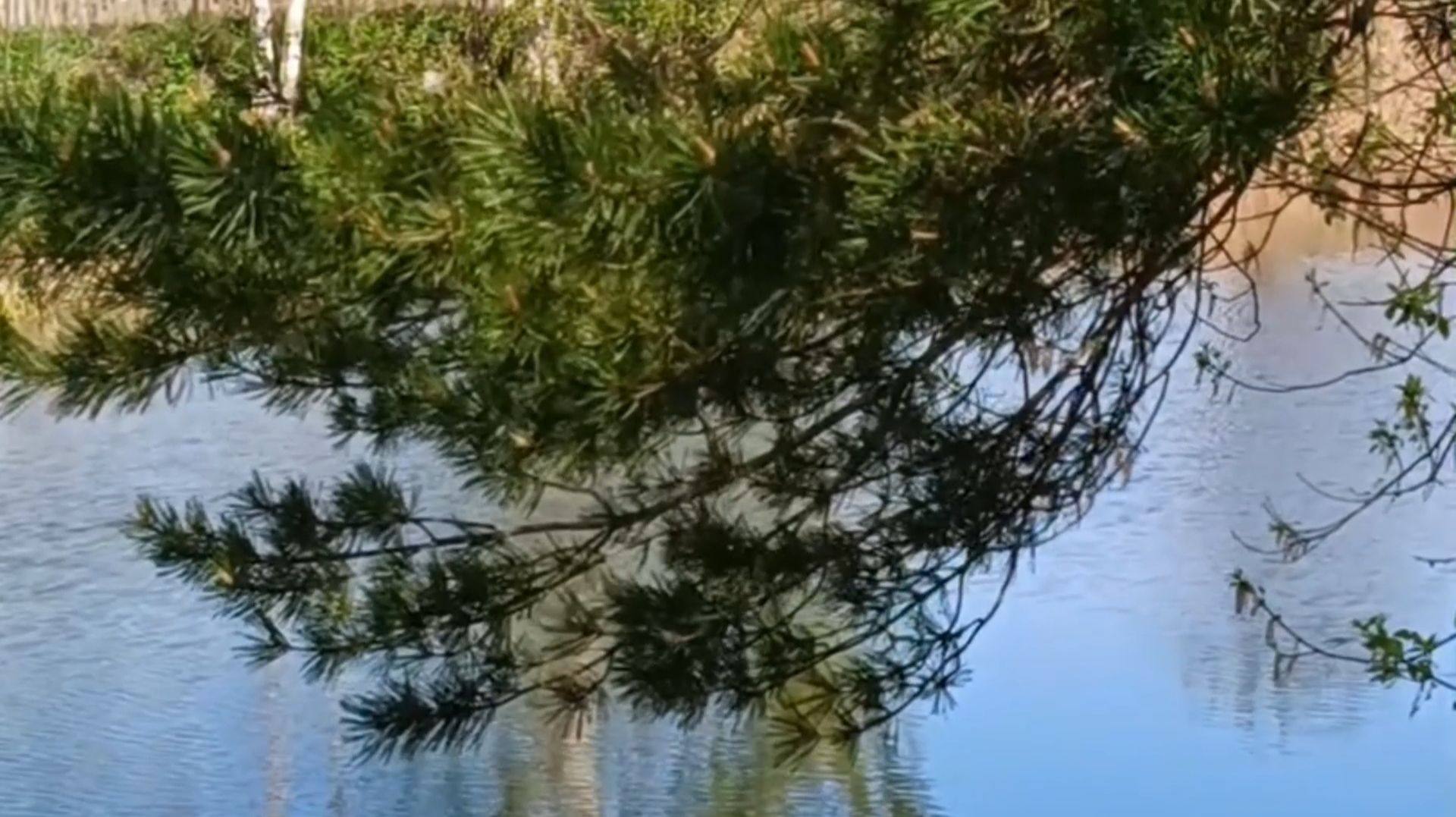 ВОСТОРГ ПО- РУССКИ смотреть онлайн