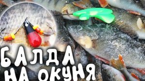 Ловля окуня на БАЛДУ в глухозимье.