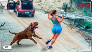 BRAIN TIME.  САМЫЕ СМЕШНЫЕ НЕУДАЧИ, СНЯТЫЕ НА КАМЕРУ