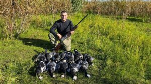 Охота на гуся. Весна