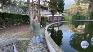 Золотые и серебряные рыбки Южнобережья исполняют желания