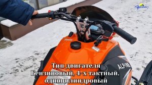 Снегоход Motoland ALPINE SNOW 200