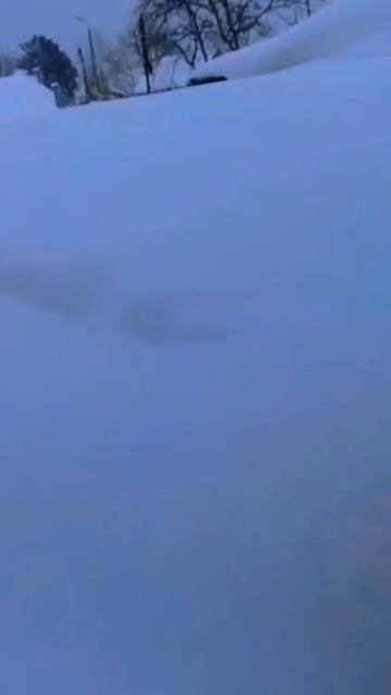 Снежный котик смотреть онлайн