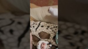 моë первое видео🎥 на канале,, 🐒

🧸 Мия