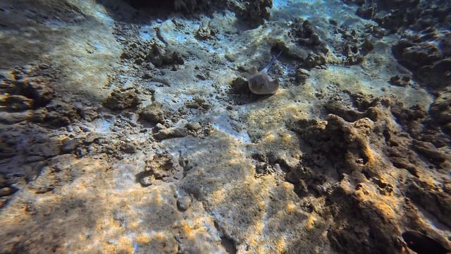  смотреть онлайн