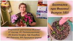 Болталка про Фиалки! Выпуск 185! Укоренение цветоносов Фиалок!
