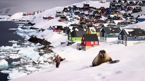 ЗЕЛЁНАЯ ЗЕМЛЯ