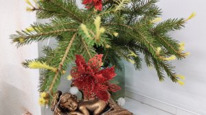 Ёлка зацвела на подоконнике/ Сюрприз однако/