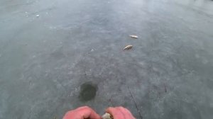 ПЕРВАЯ РЫБАЛКА НА ЛЬДУ 2026. ЗИМНЯЯ РЫБАЛКА. КЛЁВ БЕШЕНЫЙ. НА АЭРОЛОДКЕ