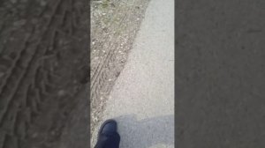 снимала когда со школы шла я давно давно дома уже