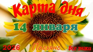 Карта дня❄14 января🎄☃️Пасьянс. Тайм-код в описании🦢